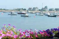 New Castle, NH - Boats and Flowers